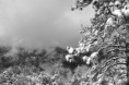 /album/yosemite-national-park1/yosemite-nikon-012-jpg/